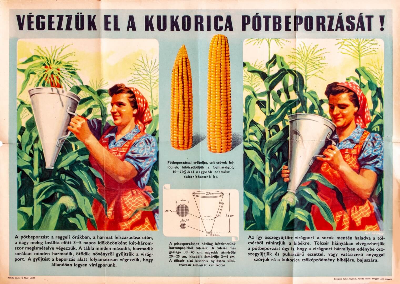Végezzük el a kukorica pótbeporzását plakát